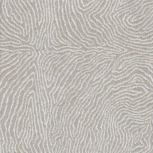 Tangle - Revolution Plus Performance Fabric - yard / tangle-cream - Revolution Upholstery Fabric