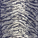 Tarzan - Outdoor Fabric - Swatch / Navy - Revolution Upholstery Fabric