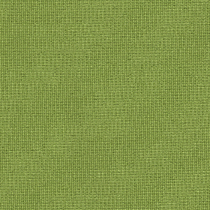 Brightside - Outdoor Upholstery Fabric - yard / Apple - Revolution Upholstery Fabric