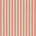 Foreshore - Washable Striped Performance Fabric - Yard / foreshore-mango - Revolution Upholstery Fabric