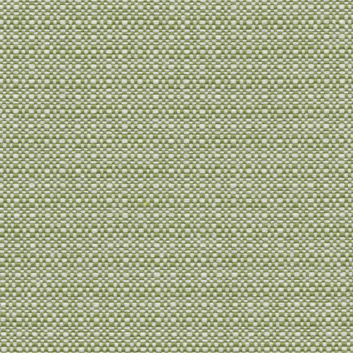 Nude Beach - Performance Outdoor Fabric - yard / Grass - Revolution Upholstery Fabric