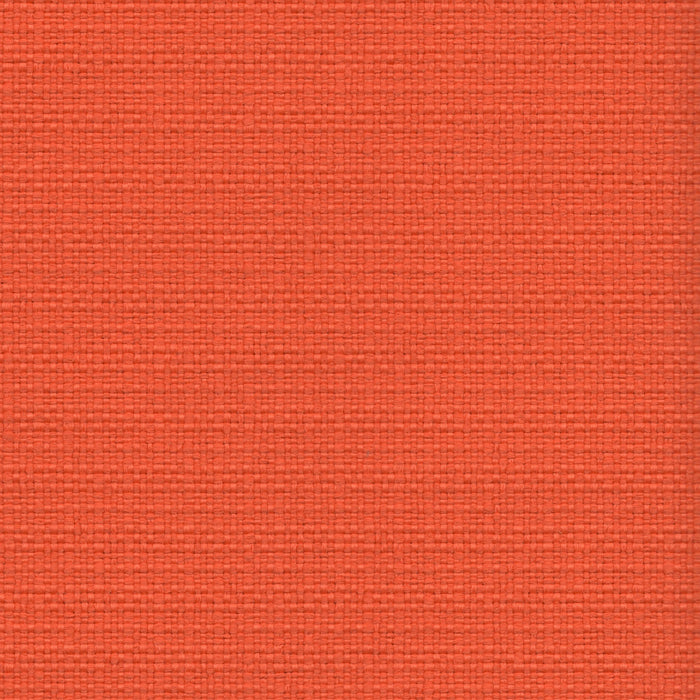 Nude Beach - Performance Outdoor Fabric - yard / Orange - Revolution Upholstery Fabric