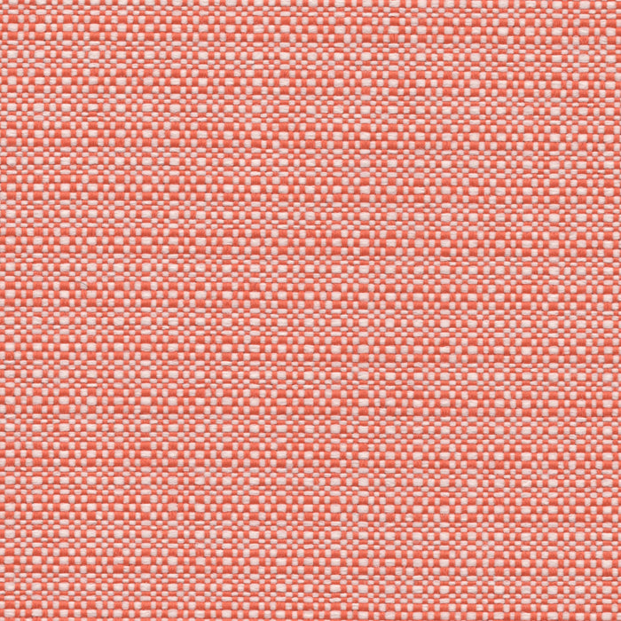 Nude Beach - Performance Outdoor Fabric - yard / Sherbert - Revolution Upholstery Fabric