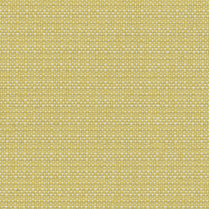 Nude Beach - Performance Outdoor Fabric - yard / Sunny - Revolution Upholstery Fabric