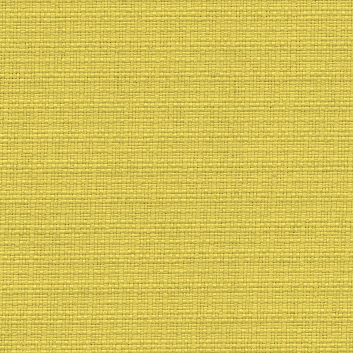 Nude Beach - Performance Outdoor Fabric - yard / Yellow - Revolution Upholstery Fabric