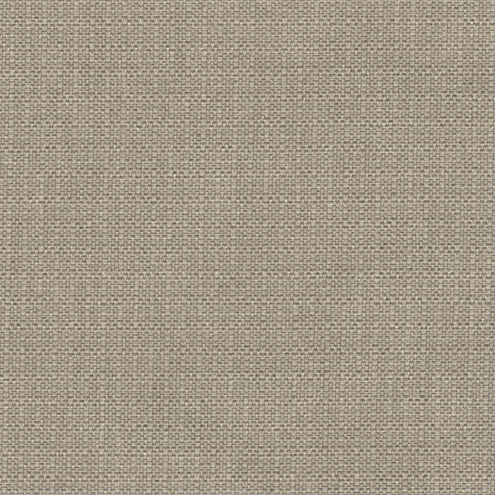 Phoenician - Revolution Plus Performance Fabric - yard / phoenician-taupe - Revolution Upholstery Fabric