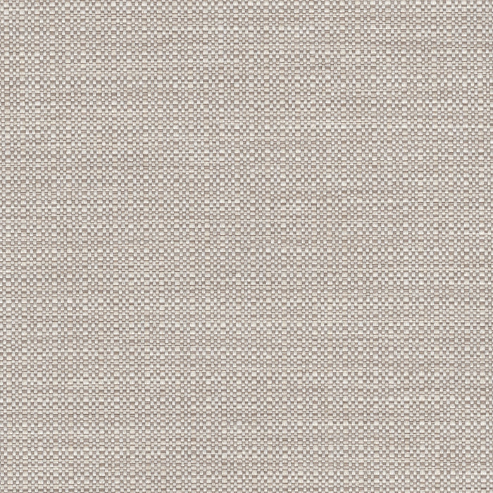 Phoenician - Revolution Plus Performance Fabric - yard / phoenician-vanilla - Revolution Upholstery Fabric